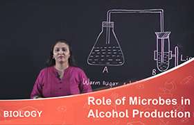 Role of Microbes in Alcohol Production 
