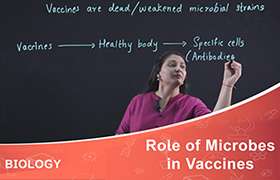 Role of Microbes in Vaccines 