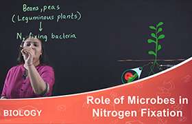 Role of Microbes in Nitrogen Fixation 