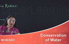 Conservation of Water 