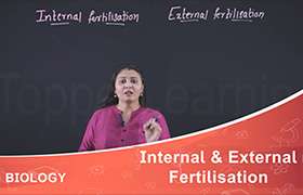 Internal and External Fertilisation 