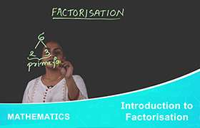 Introduction to Factorisation 