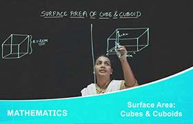Surface Area: Cubes and Cuboids 
