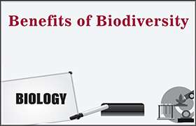 Benefits of Biodiversity 