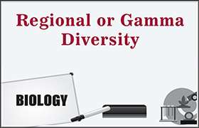 Regional or Gamma Diversity 