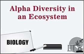 Alpha Diversity in an Ecosystem 
