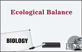 Ecological Balance 
