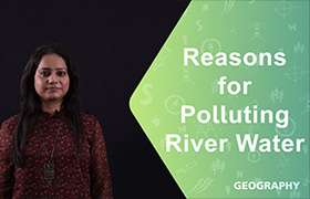 Reasons for polluting river water 