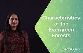 Characteristics of the evergreen forests ...