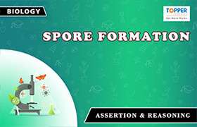 Spore Formation 