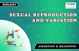 Sexual Reproduction and Variation 