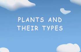 Plant and its Parts 