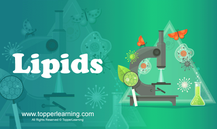 Lipids - 