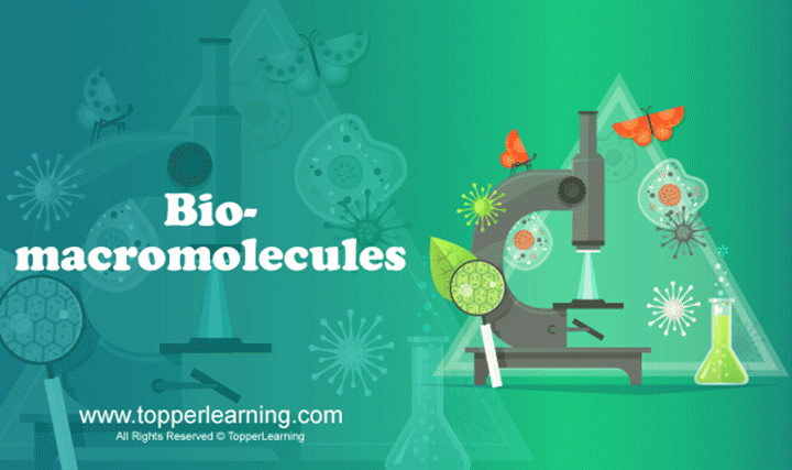 Biomacromolecules - 