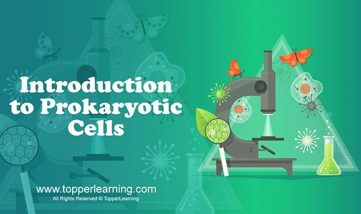 Introduction to Prokaryotic Cells - 