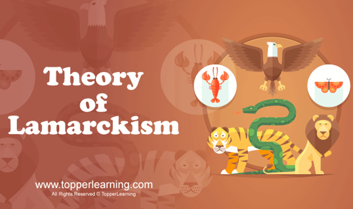 Theory of Lamarckism - 