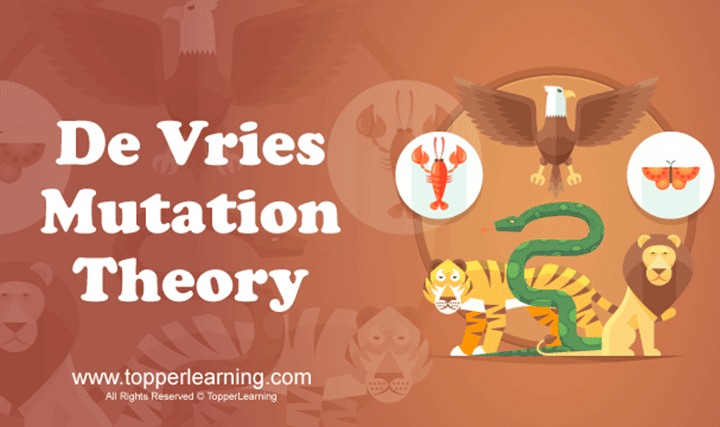 De Vries’ Mutation Theory - 