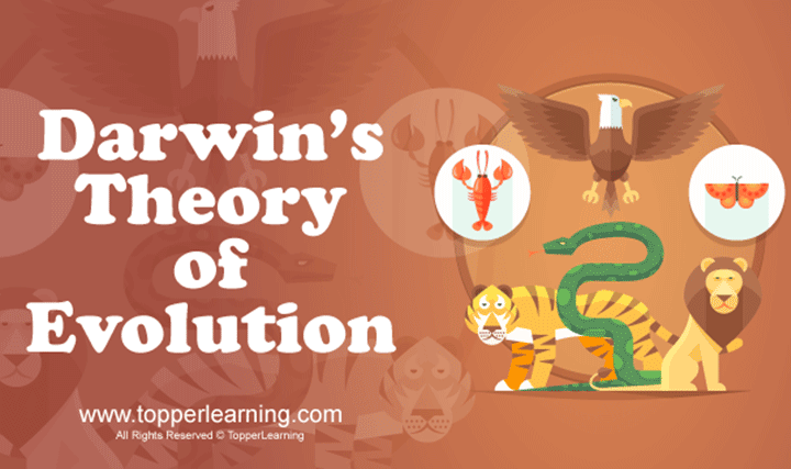 Theory of Darwinism - 