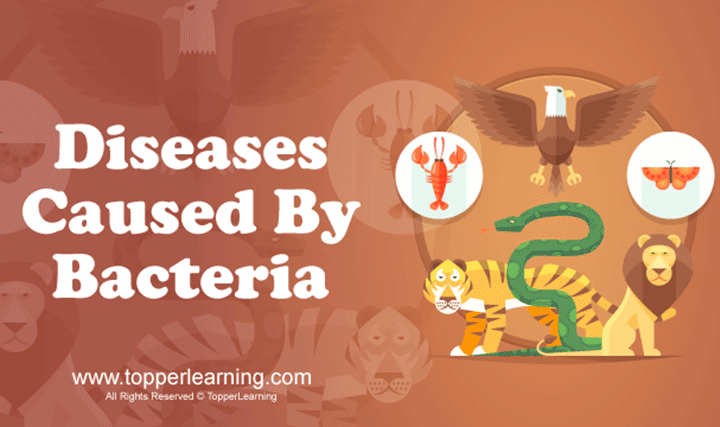 Diseases Caused by Bacteria - 