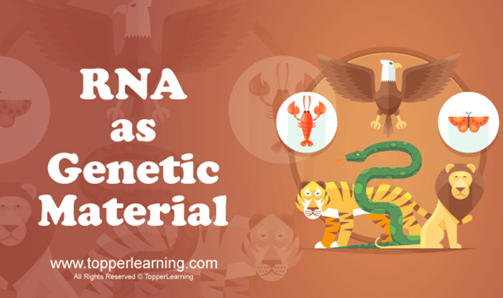 RNA as Genetic Material - 