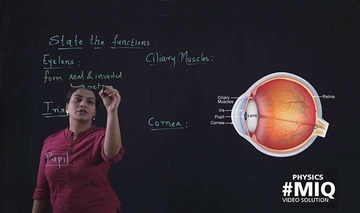 Functions of main parts of human eye - 