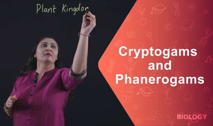 Cryptogams and Phanerogams - 
