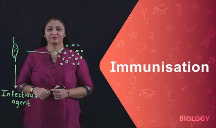 Immunisation - 