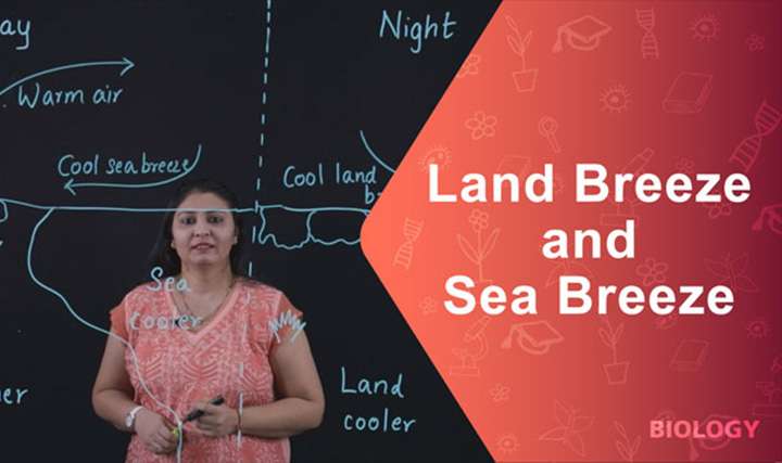 Land Breeze and Sea Breeze - 