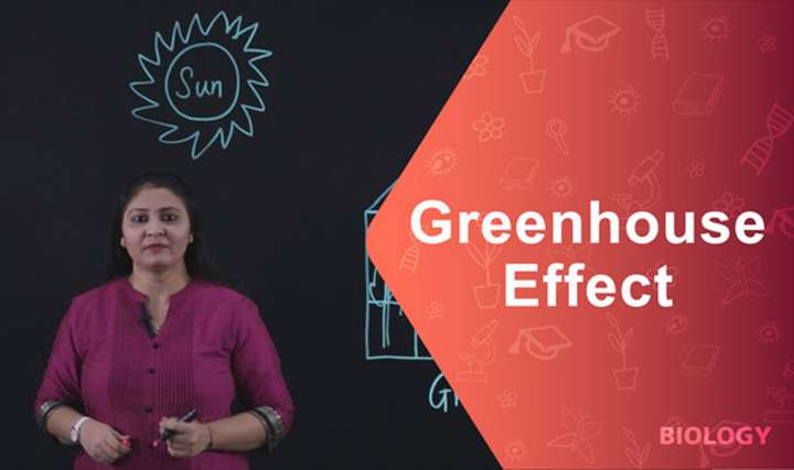Greenhouse Effect - 