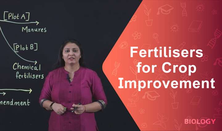 Fertilisers for Crop Improvement - 