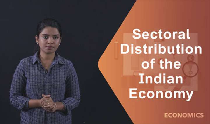 sectoral distribution of the Indian Economy - 