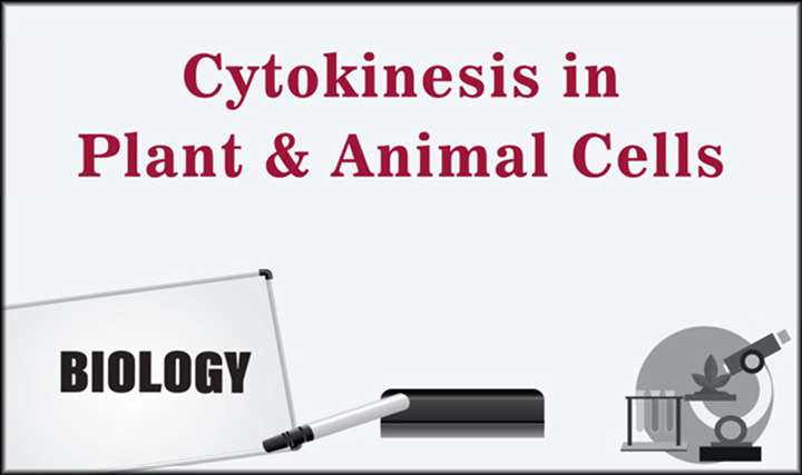 Cytokinesis in Plant and Animal Cells - 