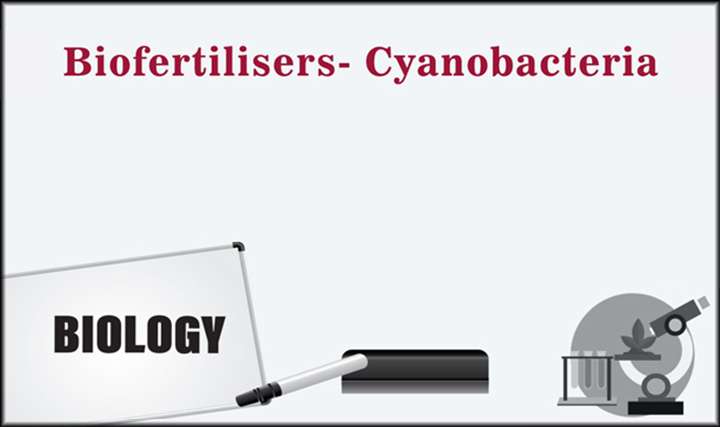 Biofertilisers- Cyanobacteria - 