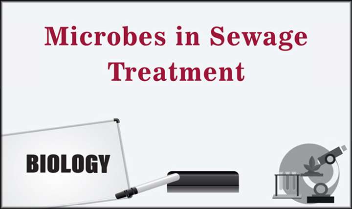 Microbes in Sewage Treatment - 