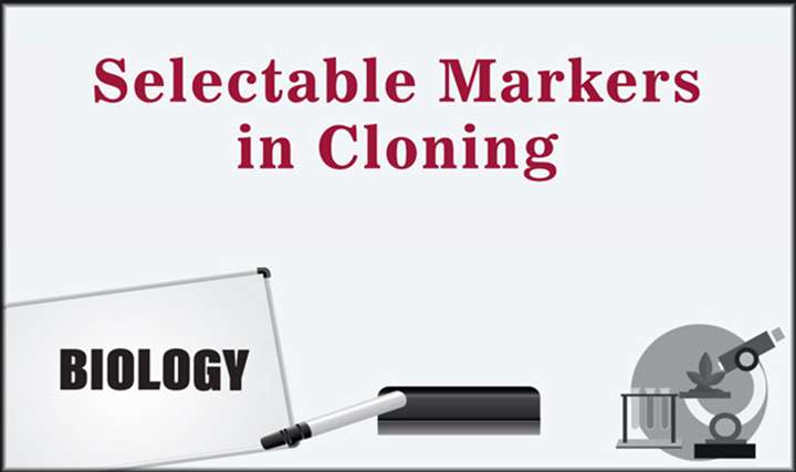 Selectable Markers in Cloning - 