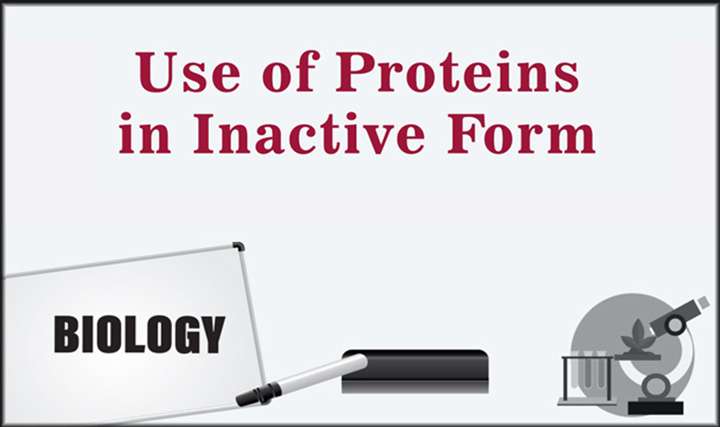 Use of Proteins in Inactive Form - 