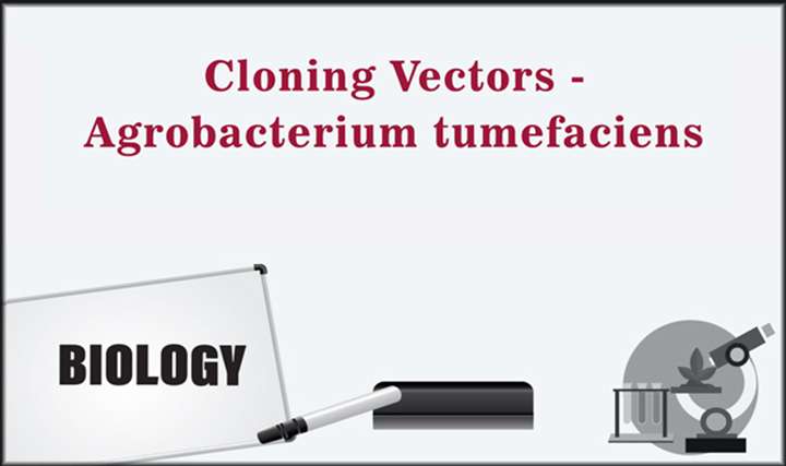 Cloning Vectors- Agrobacterium tumefaciens - 