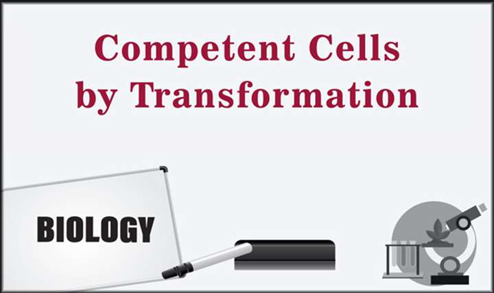 Competent Cells by Transformation - 