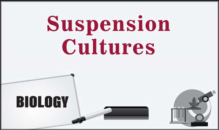 Suspension Cultures - 