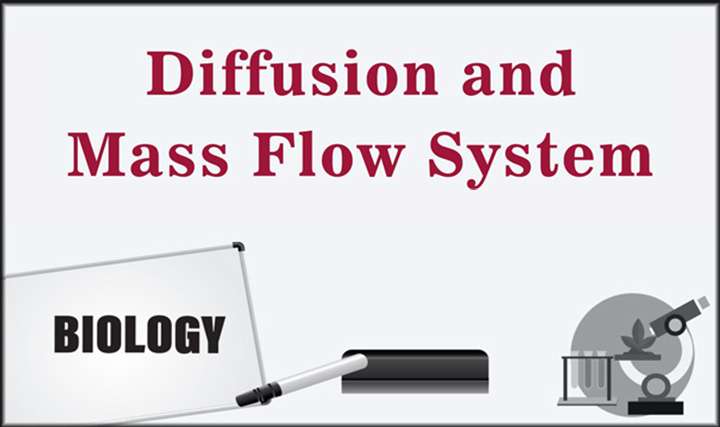 Diffusion and Mass Flow System - 