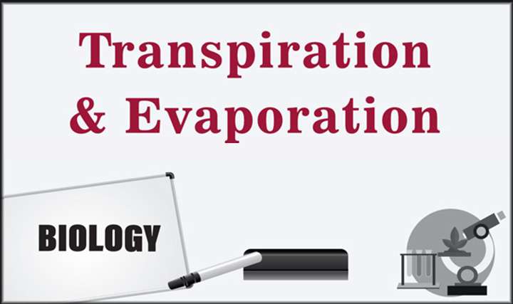 Transpiration and Evaporation - 