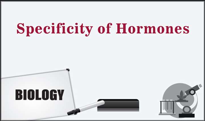 Specificity of Hormones - 