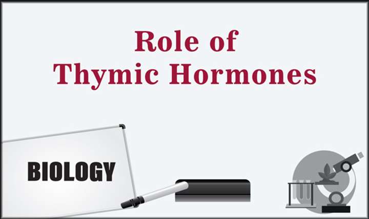 Role of Thymic Hormones - 