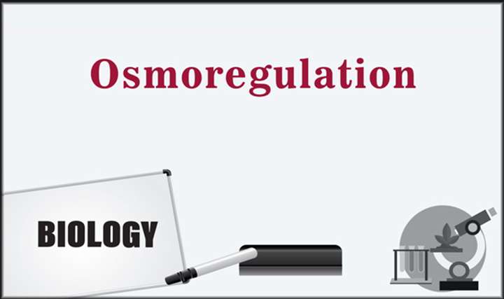 Osmoregulation - 