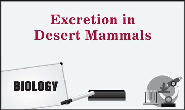 Excretion in Desert Mammals - 