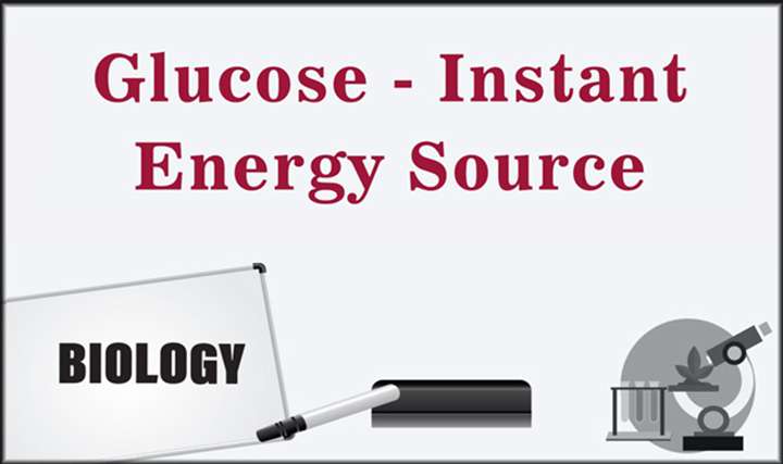 Glucose - Instant Energy Source - 