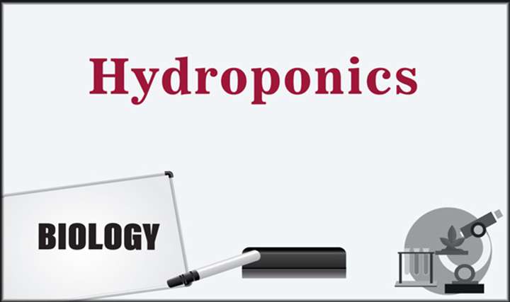 Hydroponics - 