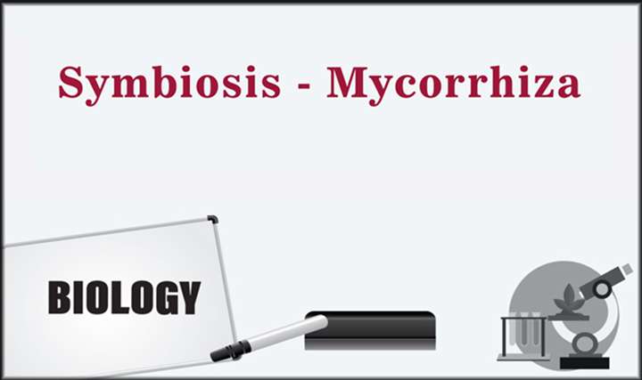 Symbiosis - Mycorrhiza - 