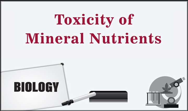 Toxicity of Mineral Nutrients - Part 1 - 