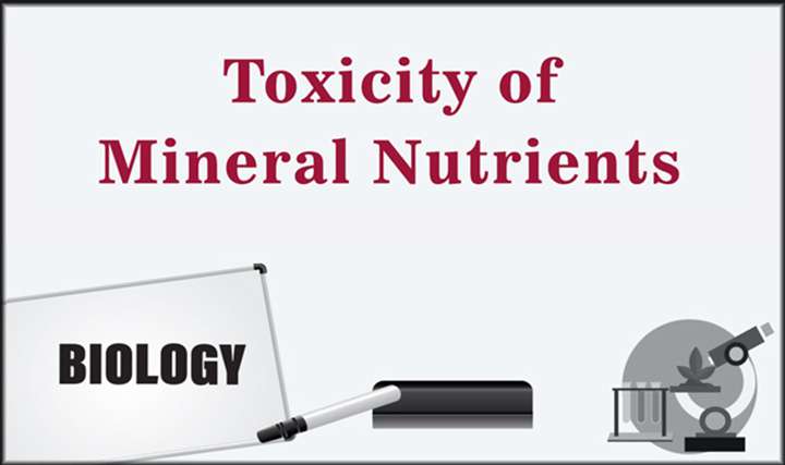Toxicity of Mineral Nutrients - Part 2 - 